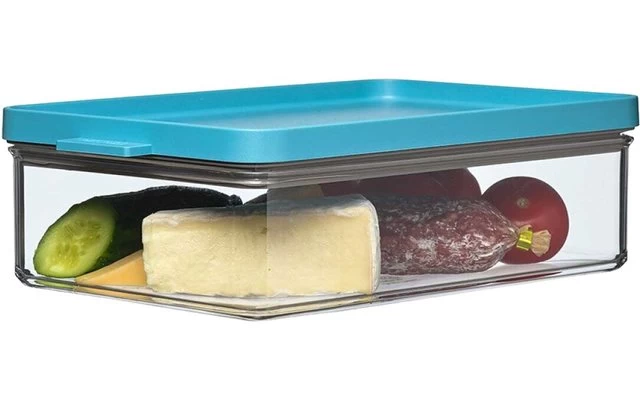 Mepal Omnia Kühlschrankdose Frühstück 1200 Ml Nordic Green 1 Mepal Omnia Kühlschrankdose Frühstück 1200 Ml Nordic Green